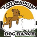 Tail Waggin' Dog Ranch